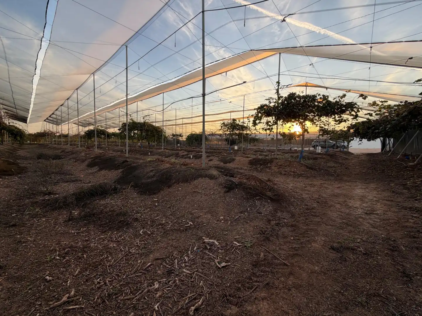 Jardí de Finca rústica en venda en Urbanizaciones  