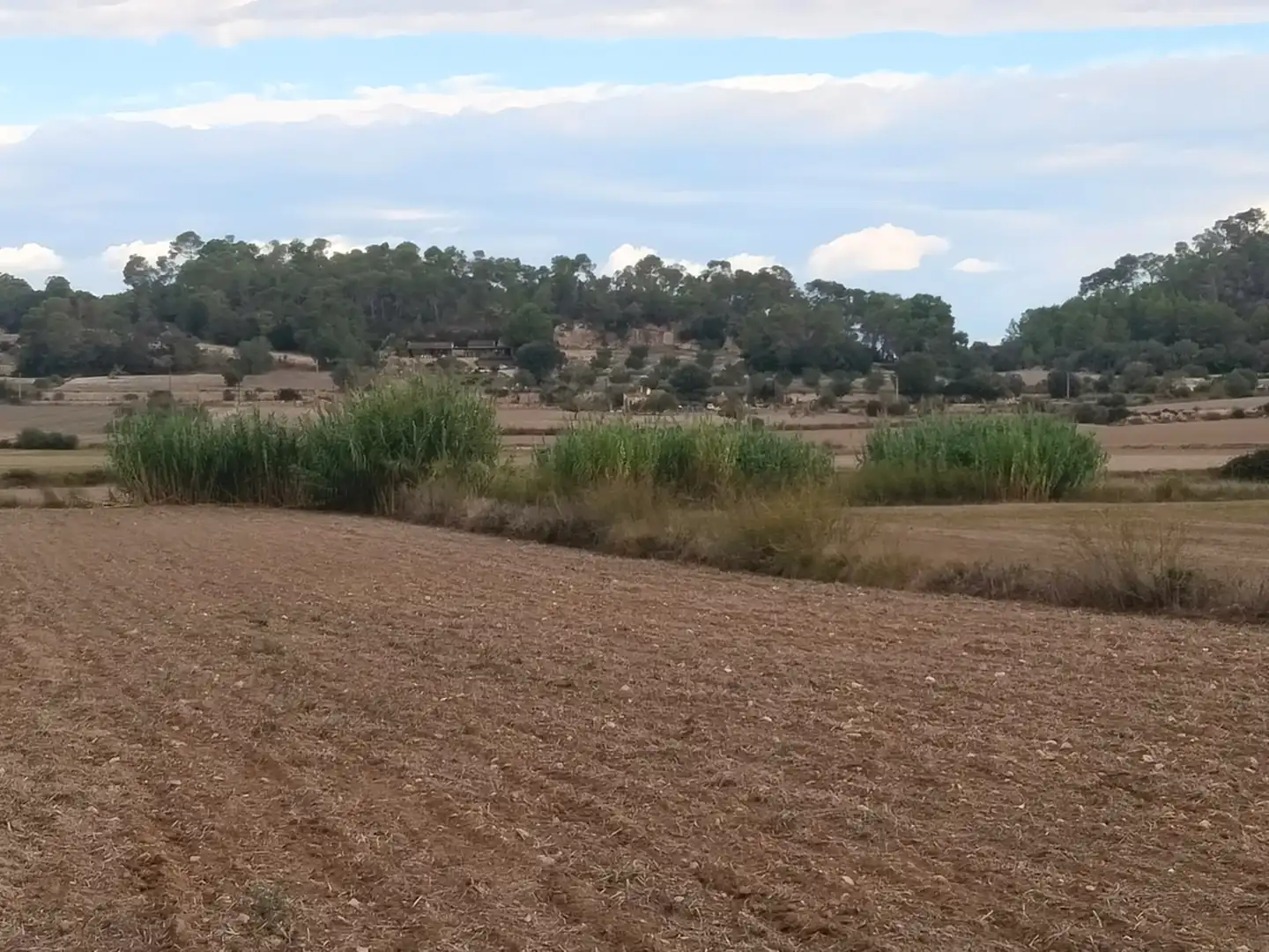 Terreno rustico in vendita a Sineu, imagen 5