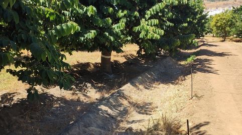 Photo 3 of Country homes for sale in Almuñecar Centro, Almuñécar