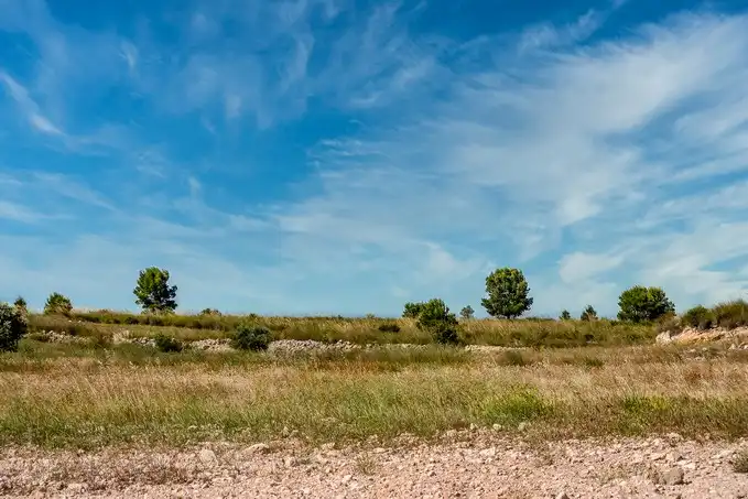 Rustikales Grundstück zum Verkauf in Paraje Fuente del Peral y Rincón del Majariego, Plg 6-7, imagen 15