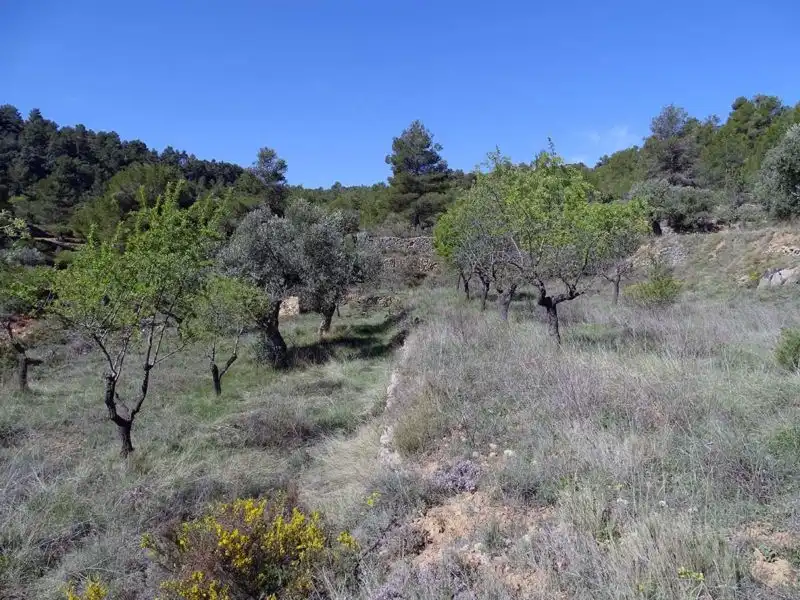 Finca rústica en venta en Beceite