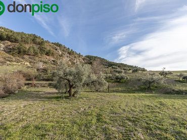Terreno rustico in vendita a Camino DE LA UMBRIA