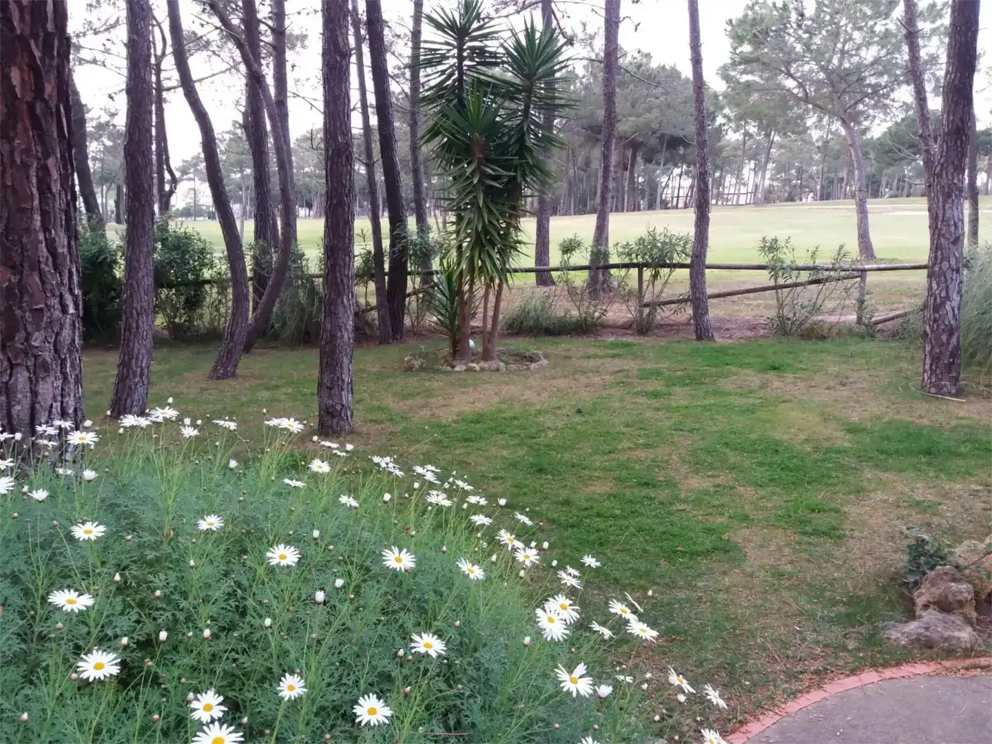 Garden of Flat for rent in Islantilla  with Private garden, Furnished and Oven