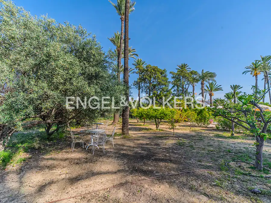 Casa o xalet en venda en Elche / Elx amb Calefacció, Jardí privat i Terrassa
