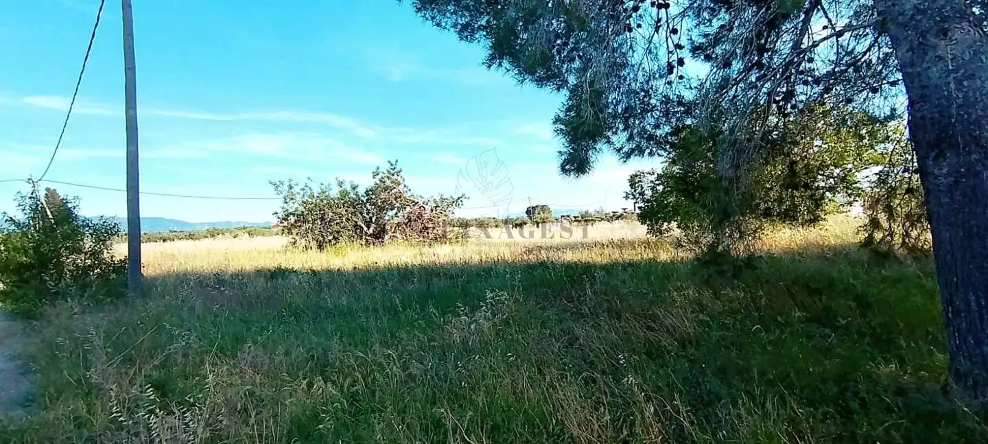 Finca rústica en venta en Aldover con Terraza y Piscina