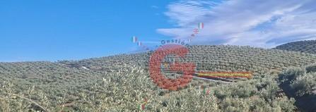 Foto 4 de Finca rústica en venda a Castril, Granada