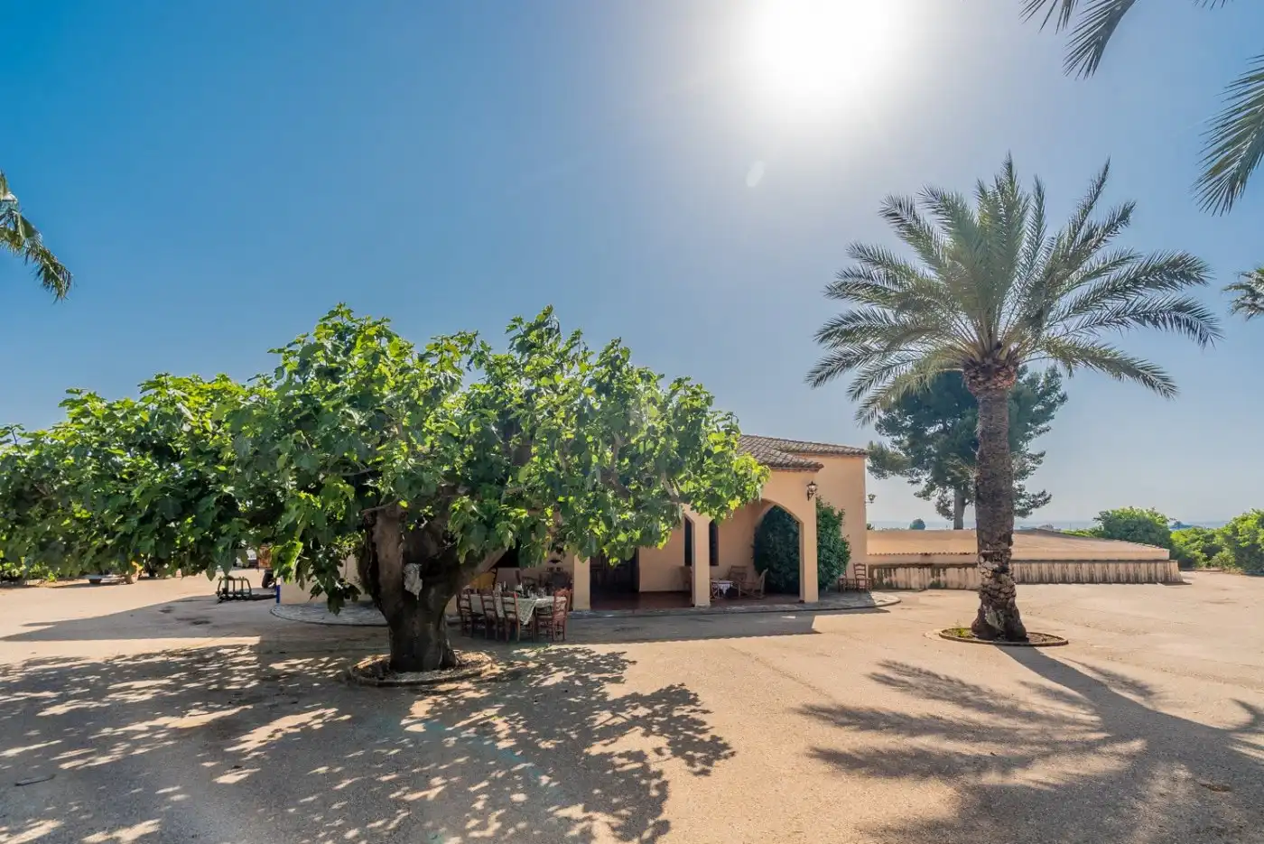 Vista exterior de Finca rústica en venda en L'Énova amb Terrassa, Traster i Alarma