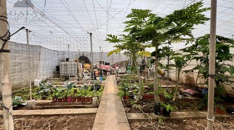 Foto 3 de Casa o chalet en venta en Garachico, Santa Cruz de Tenerife