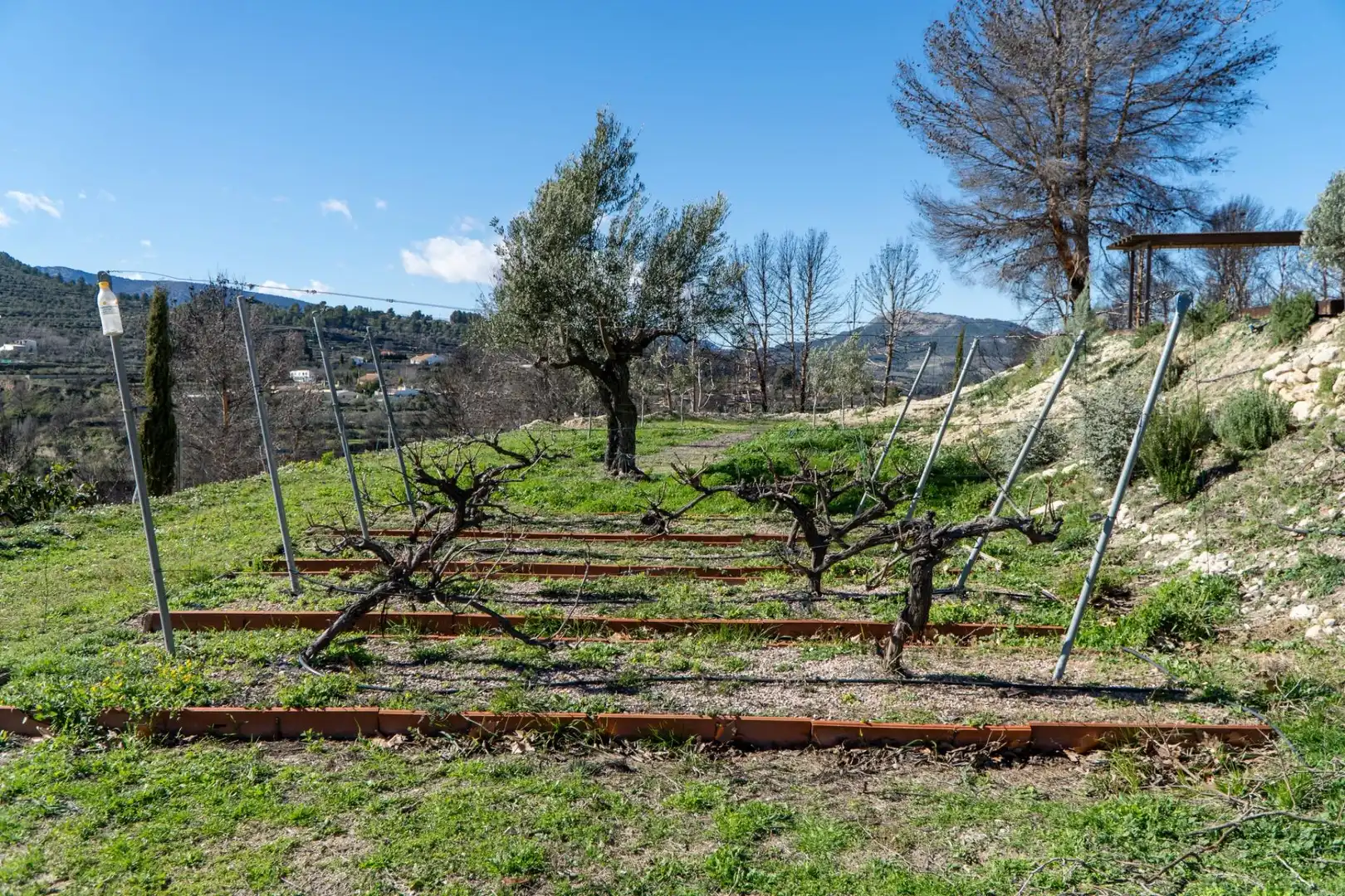 Country homes for sale in Penàguila  with Heating, Private garden and Terrace