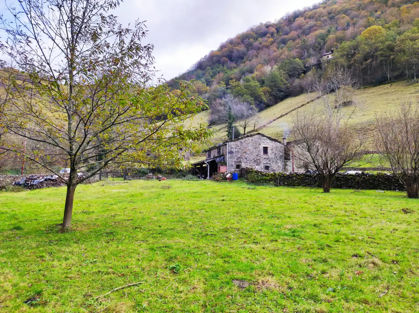 Vista exterior de Casa o chalet en venta en Vega de Pas con Jardín privado y Terraza
