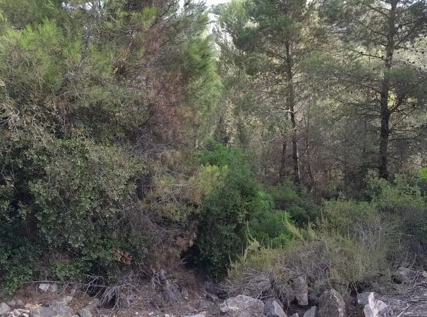Grundstücke und Bauplätze zum Verkauf in de los lagos, imagen 6