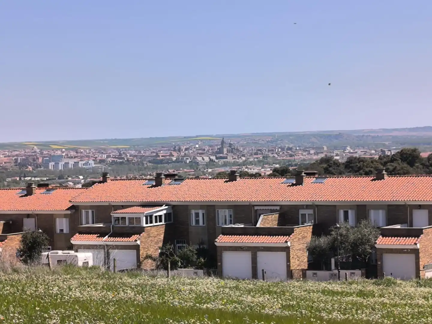 Exterior view of Detached homes for sale in Carrascal de Barregas  with Heating, Terrace and Furnished