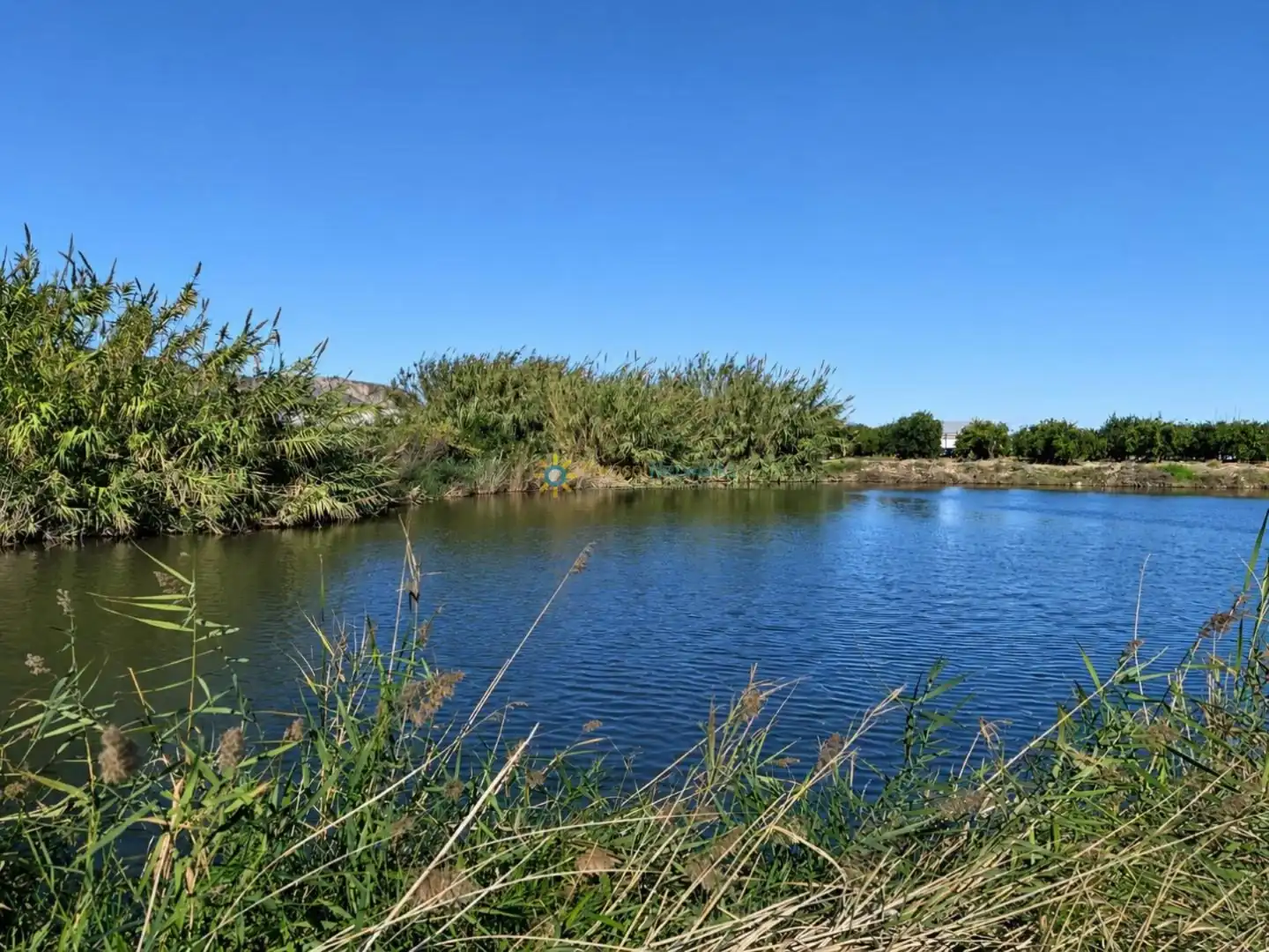 Finca rústica en venta en Xeraco con Jardín privado, Terraza y Trastero
