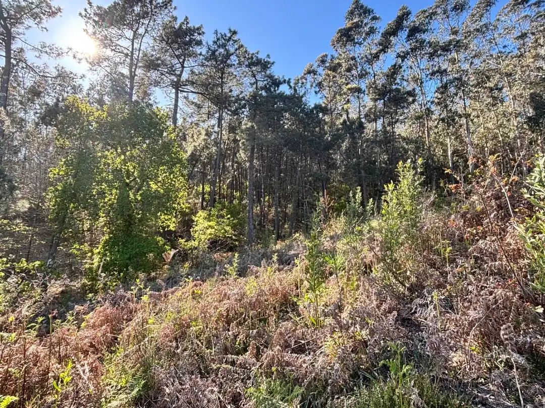 Residential for sale in Boiro
