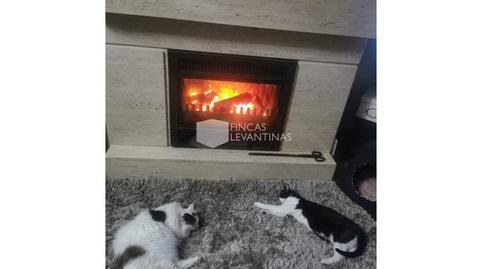 Foto 4 de Casa o xalet en venda a Centro, San Vicente del Raspeig / Sant Vicent del Raspeig