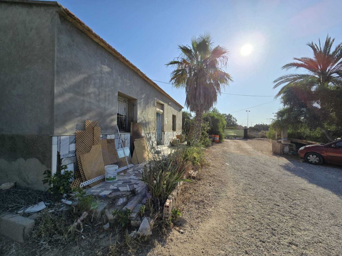 Vista exterior de Finca rústica en venda en Elche / Elx amb Terrassa