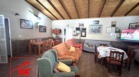 Foto 4 de Finca rústica en venta en Lebrija, Sevilla