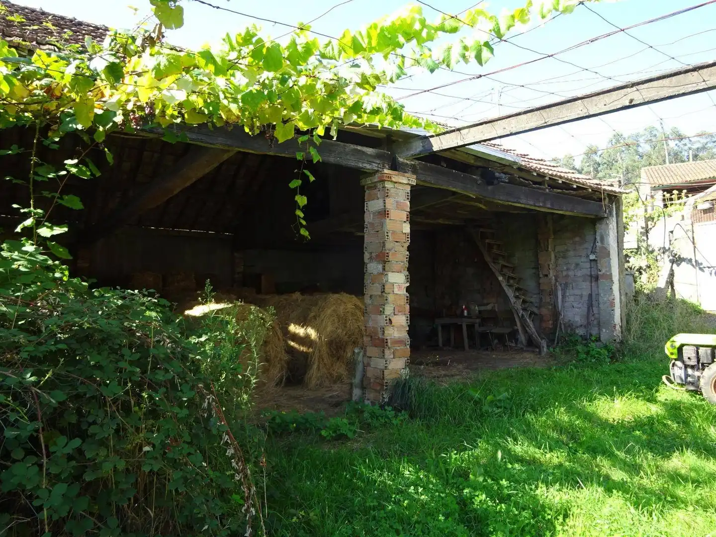 Garden of Houses for sale in Teo  with Storage room