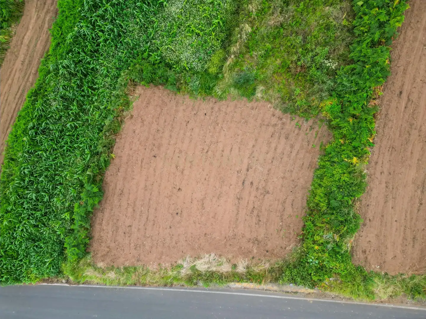 Terreno en venta en Los Realejos