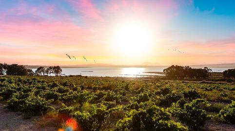 Foto 4 de Casa o xalet en venda a Zona Carrefour - Urbanizaciones, Alicante