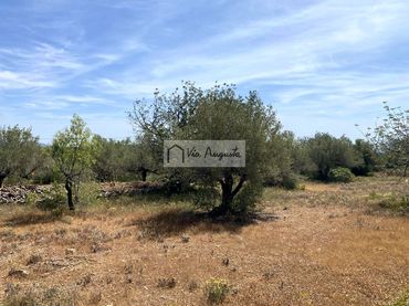 Terrenos y solares en venta en Parracoll