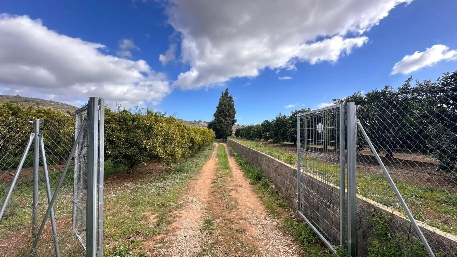 Casa o chalet en venta en Polígono POLIGONO N 7, Alfarb