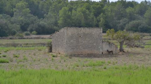 Foto 2 de Finca rústica en venta en Sineu, Illes Balears