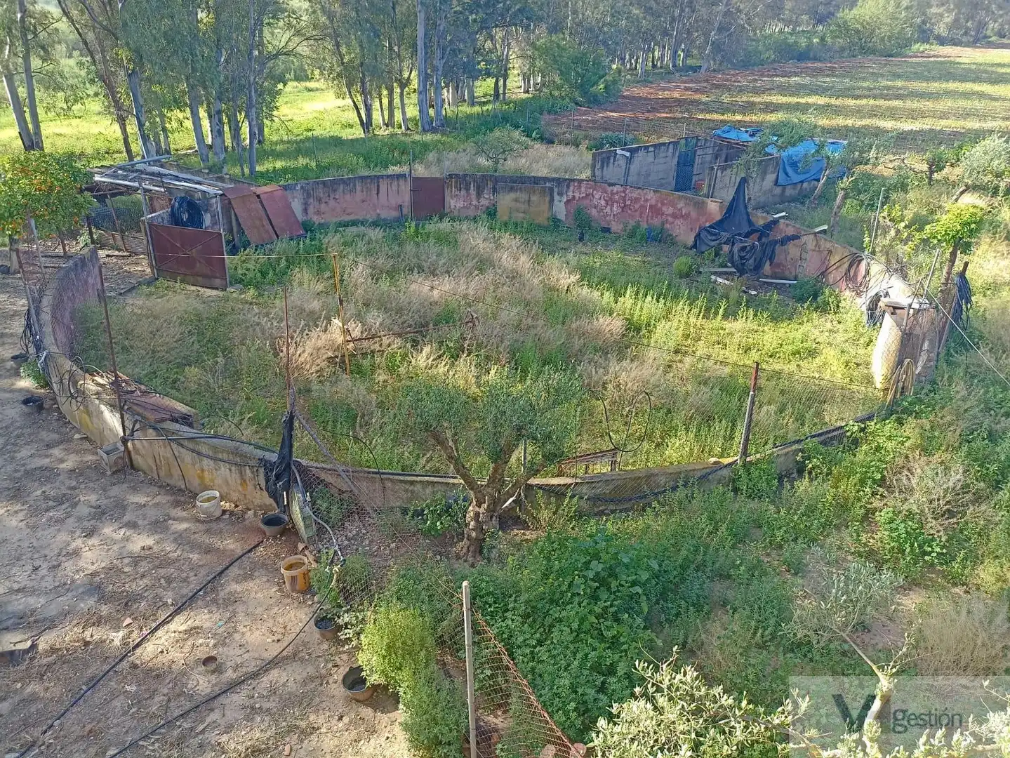 Casa rústica en venda a Bornos, imagen 11