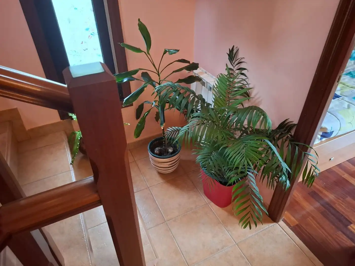 Villa con giardino in vendita a Lugar Cernada 2, imagen 27