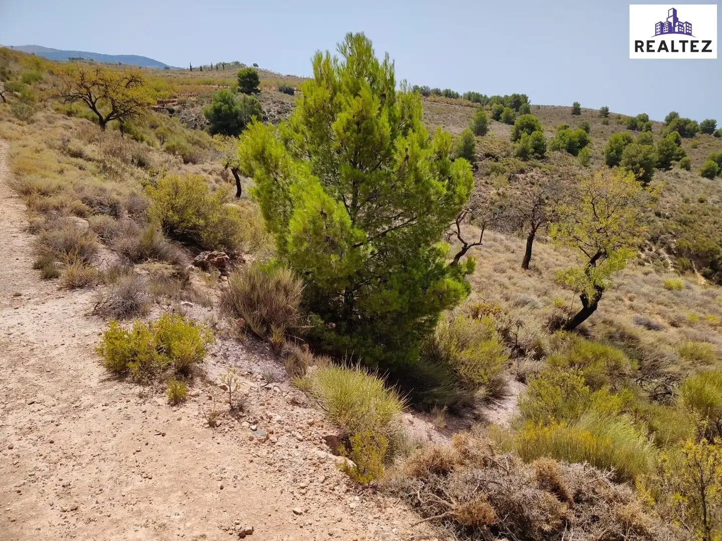 Terrain rustique à vendre à Alcolea, imagen 9
