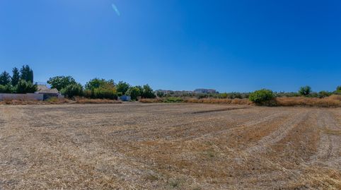 Photo 4 of Residential for sale in Calle Aro, Belicena, Vegas del Genil