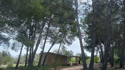 Imatge 4 de l'anunci
