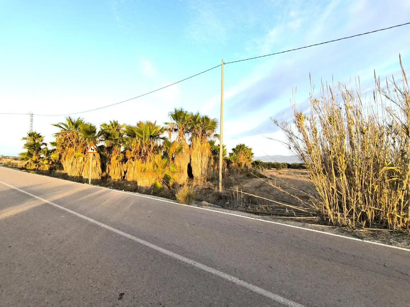 Terrain rustique à vendre à La Marina, imagen 21