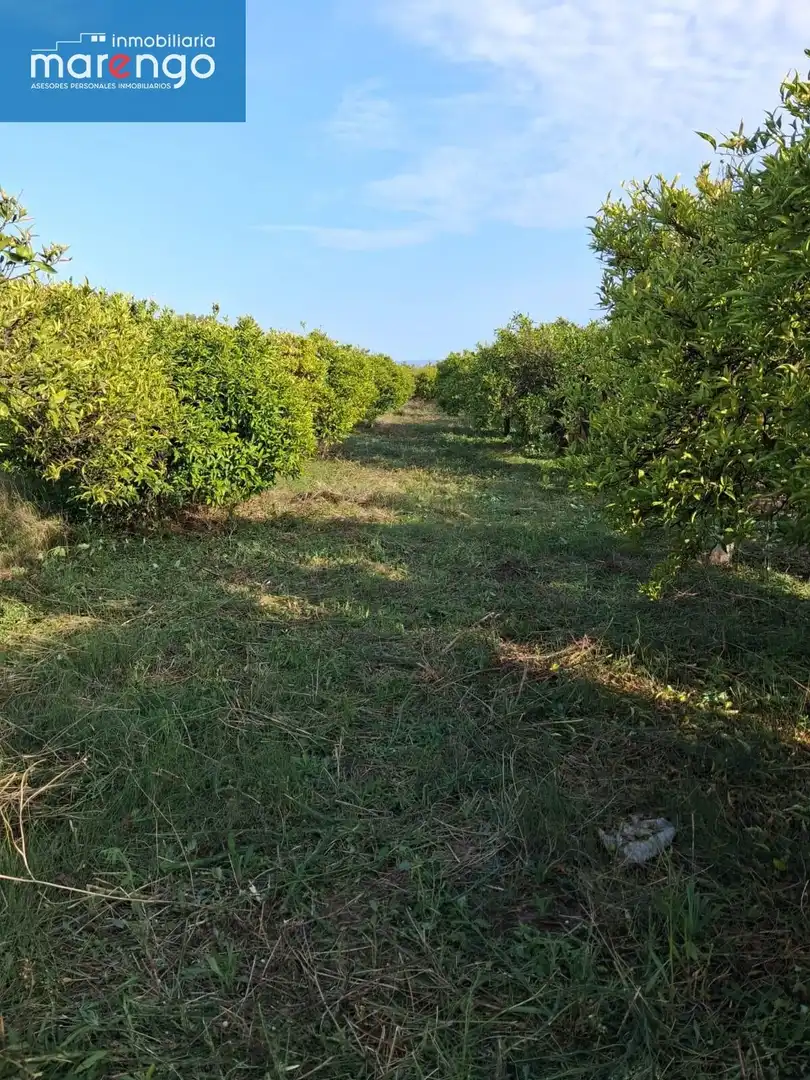 Rustikales Grundstück zum Verkauf in Camino de Onda - Salesianos, imagen 2