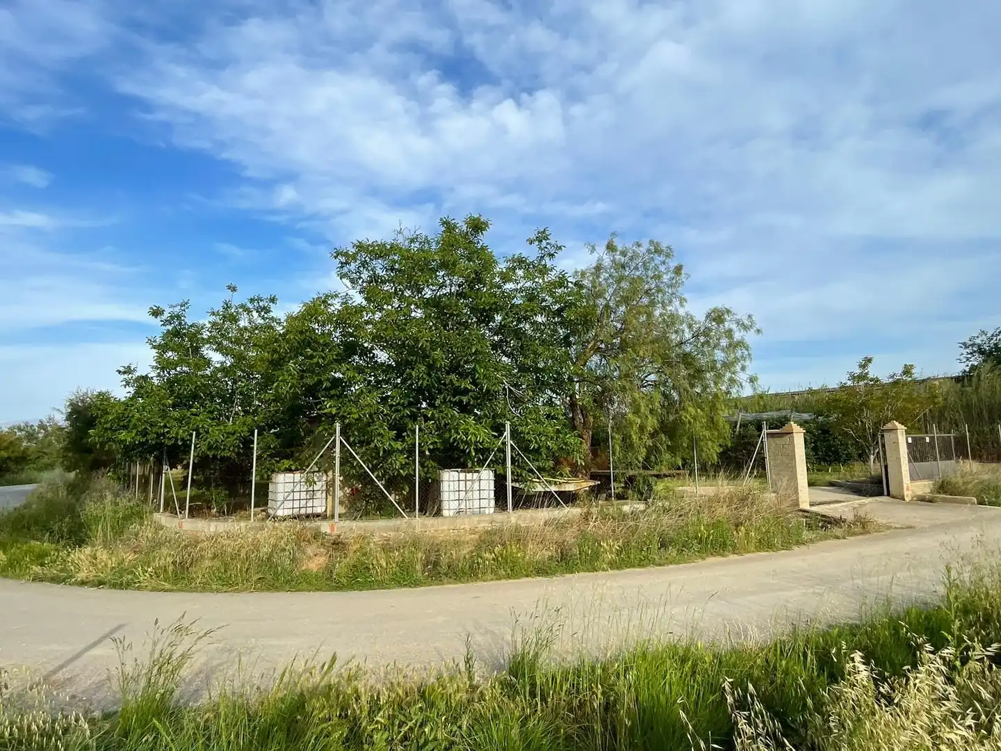 Rural land for sale in Sant Pere Pescador, imagen 19