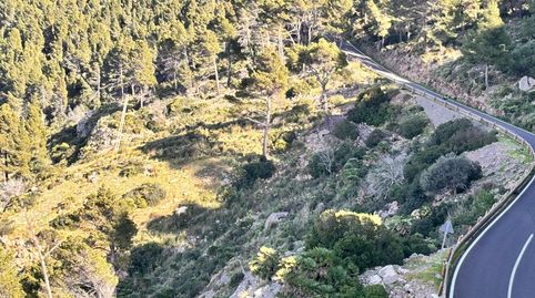 Photo 5 of Land for sale in Diseminado Carretera a Andratx, Estellencs, Illes Balears