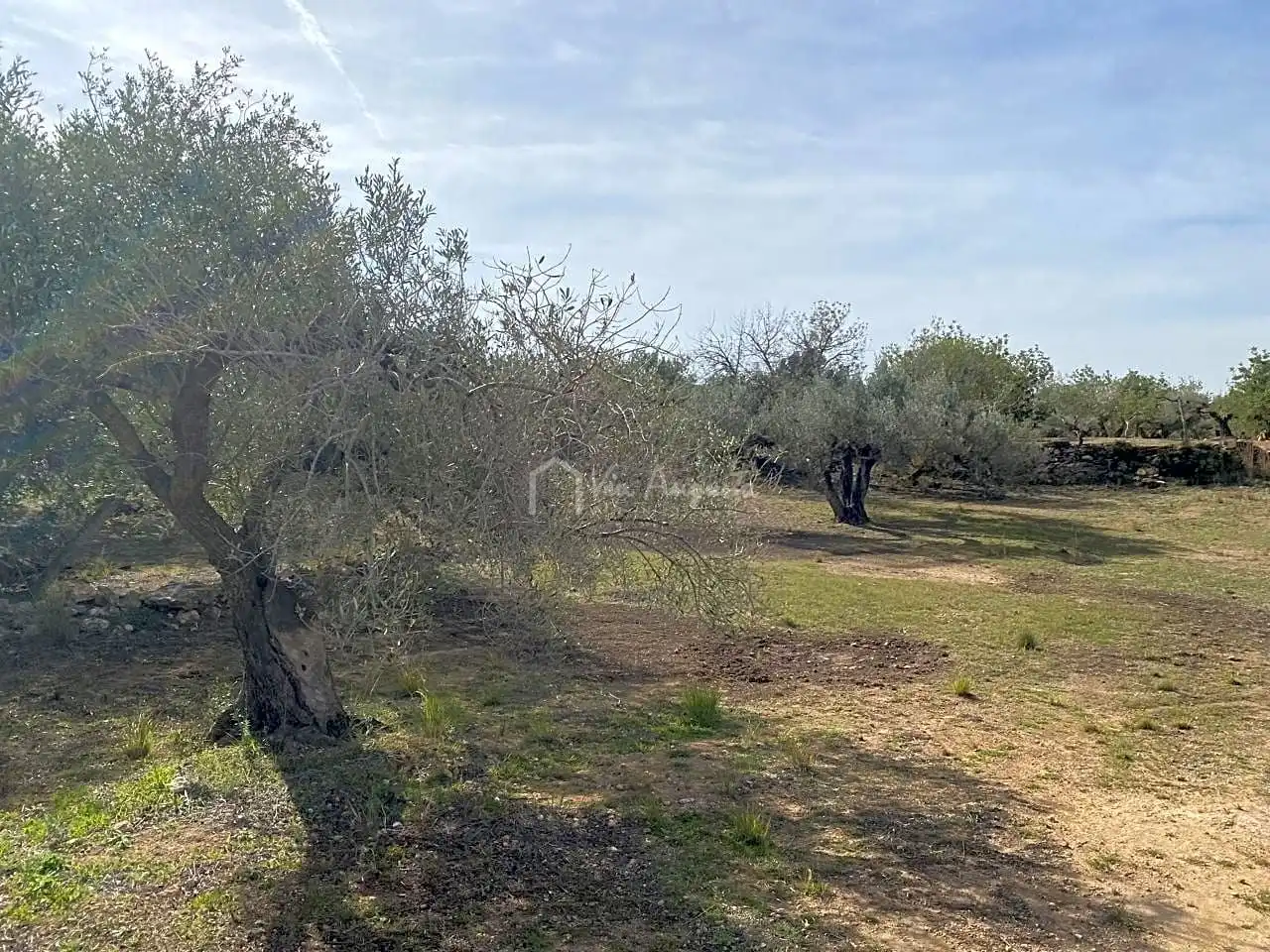 Terreno rustico in vendita a Planas, imagen 10