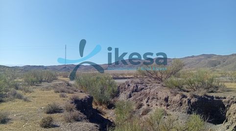 Venta de Suelo Rústico en la localidad de Gergal, immagine 5