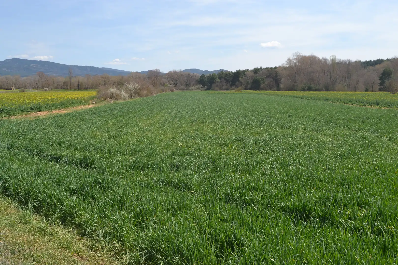 Country homes for sale in Sabiñánigo  with Private garden