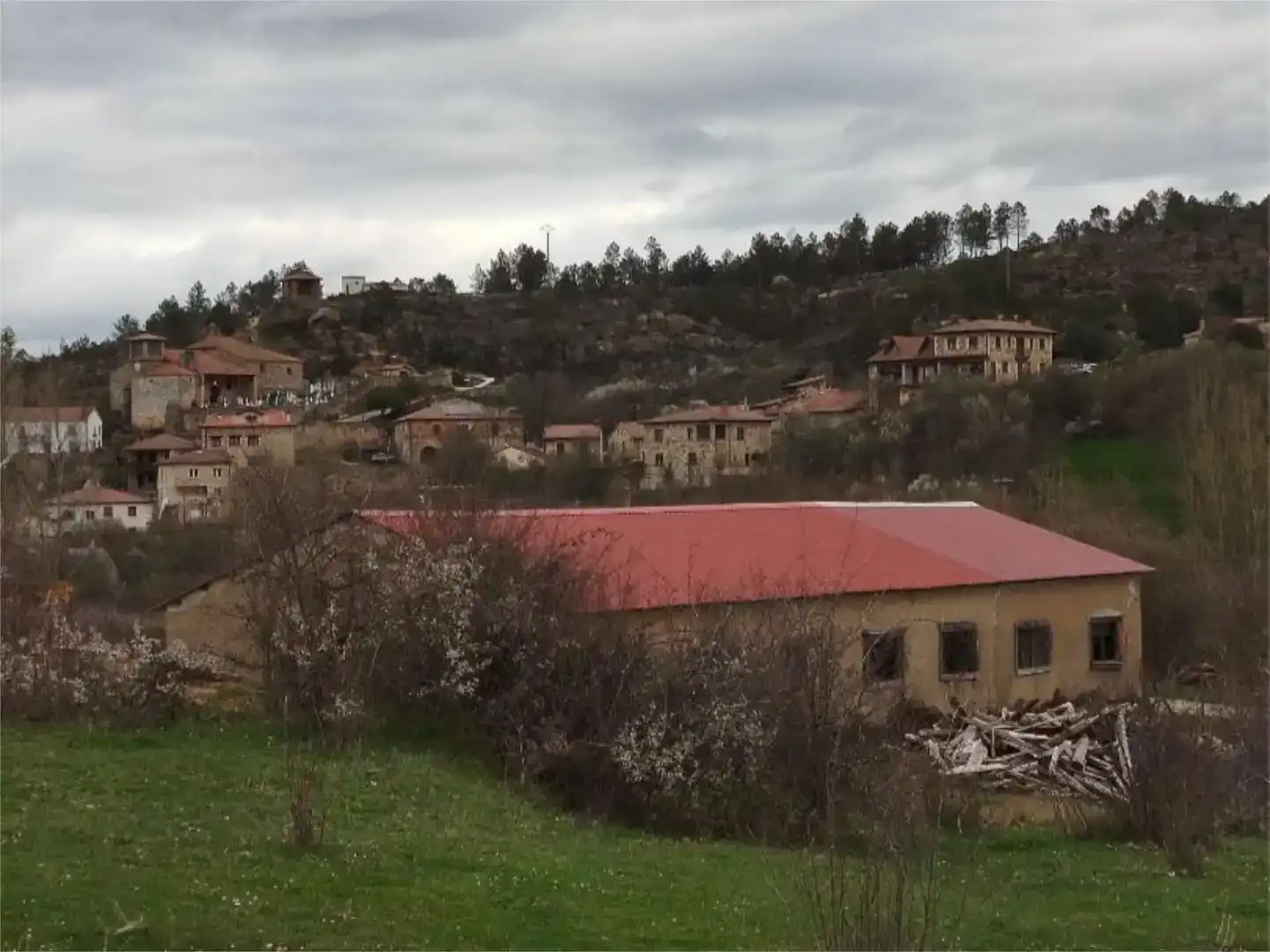 Vista exterior de Piso en venta en Rabanera del Pinar