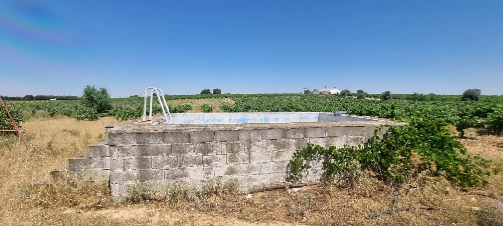 Casa rústica en venda a Villarrobledo, imagen 50