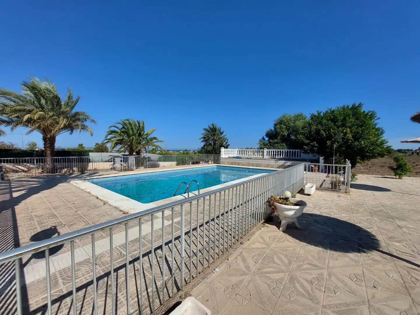 Schwimmbecken von Haus oder Chalet zur Miete in Elche / Elx mit Terrasse, Schwimmbad und Balkon