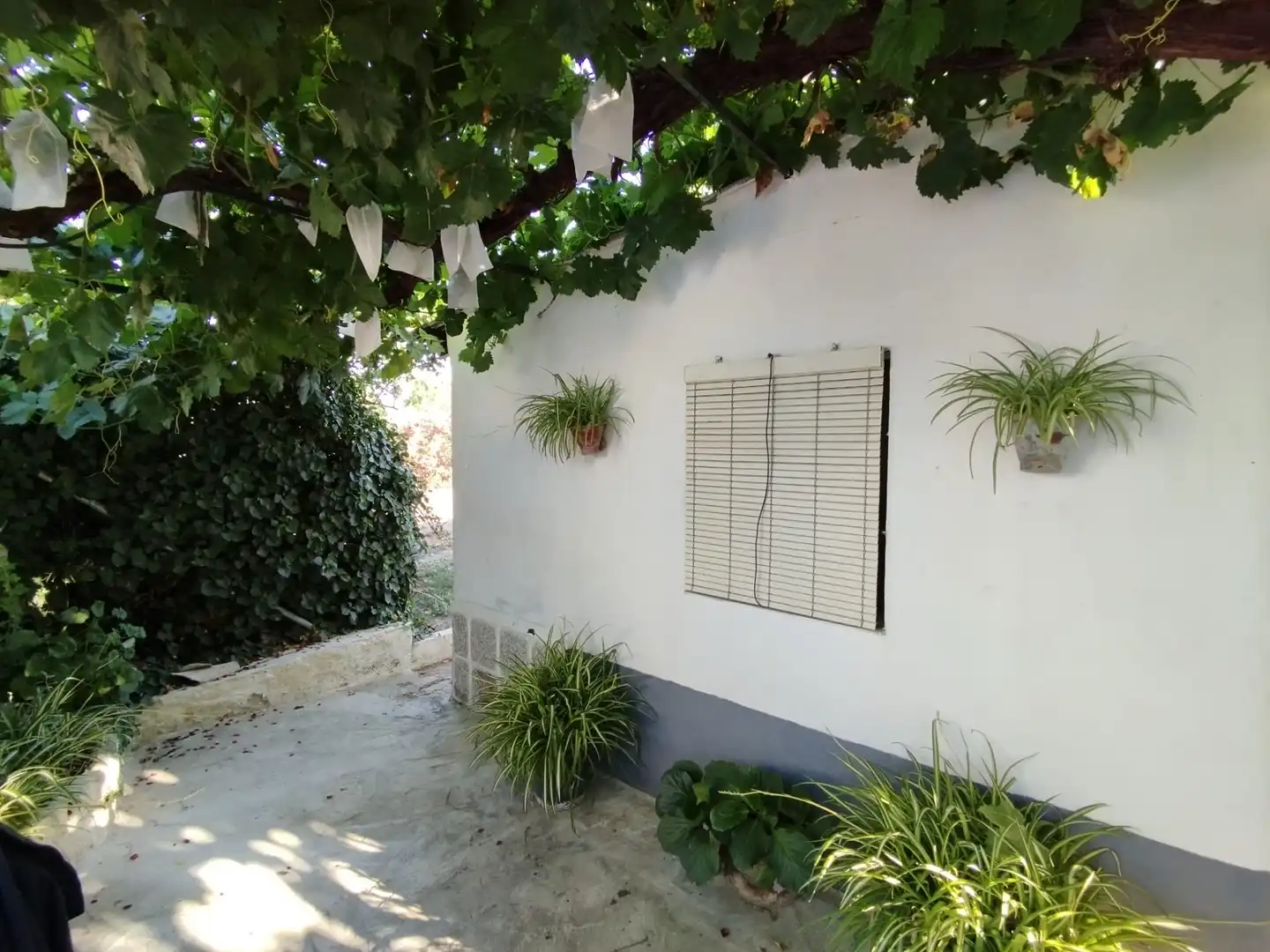 Terreno rustico in vendita a Calle Tinte, imagen 4