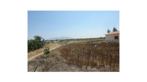 Foto 2 de Finca rústica en venta en Los Pedregales, Huércal-Overa, Almería