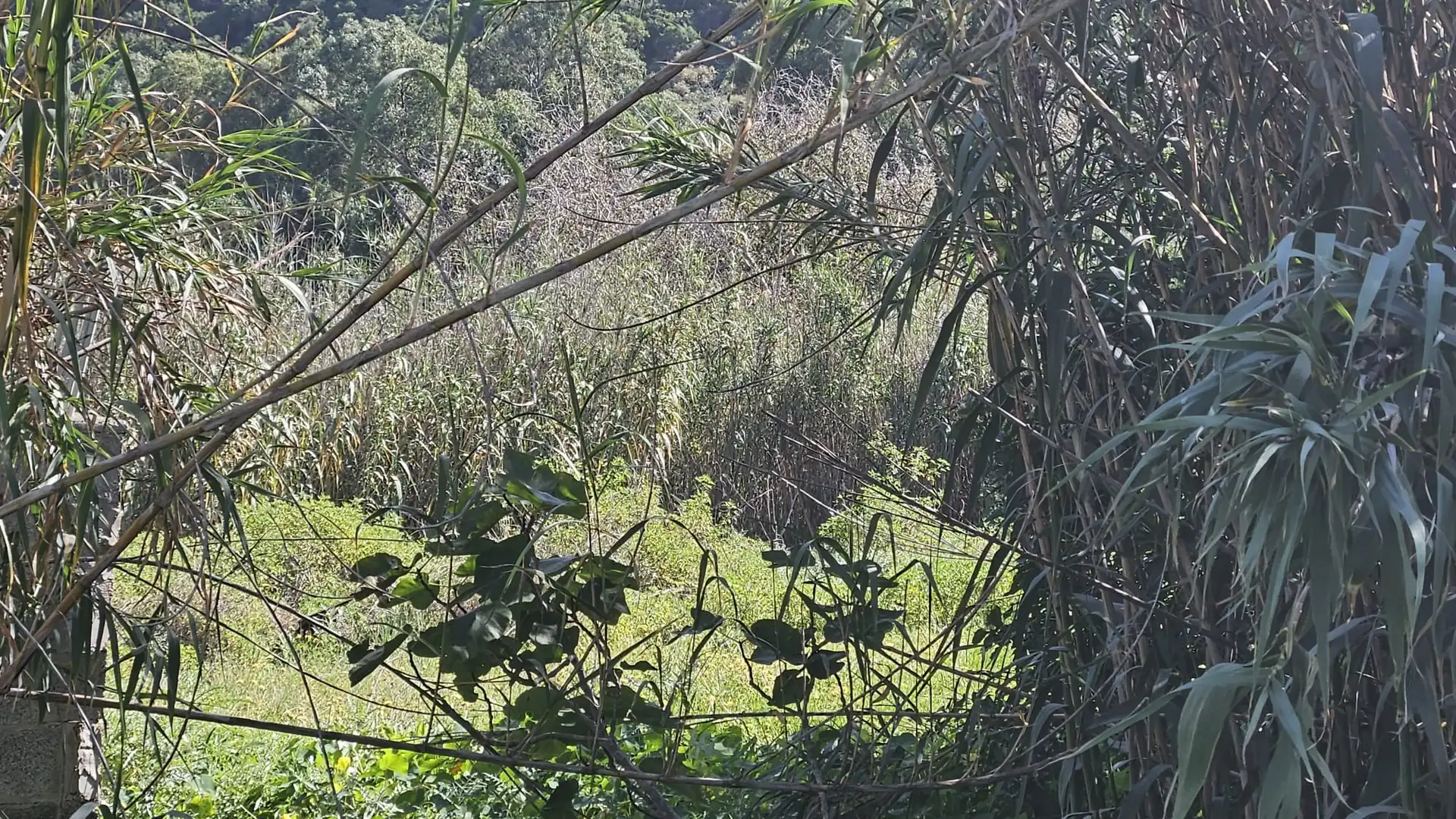 Terreno en venta en Los Portales - Visvique