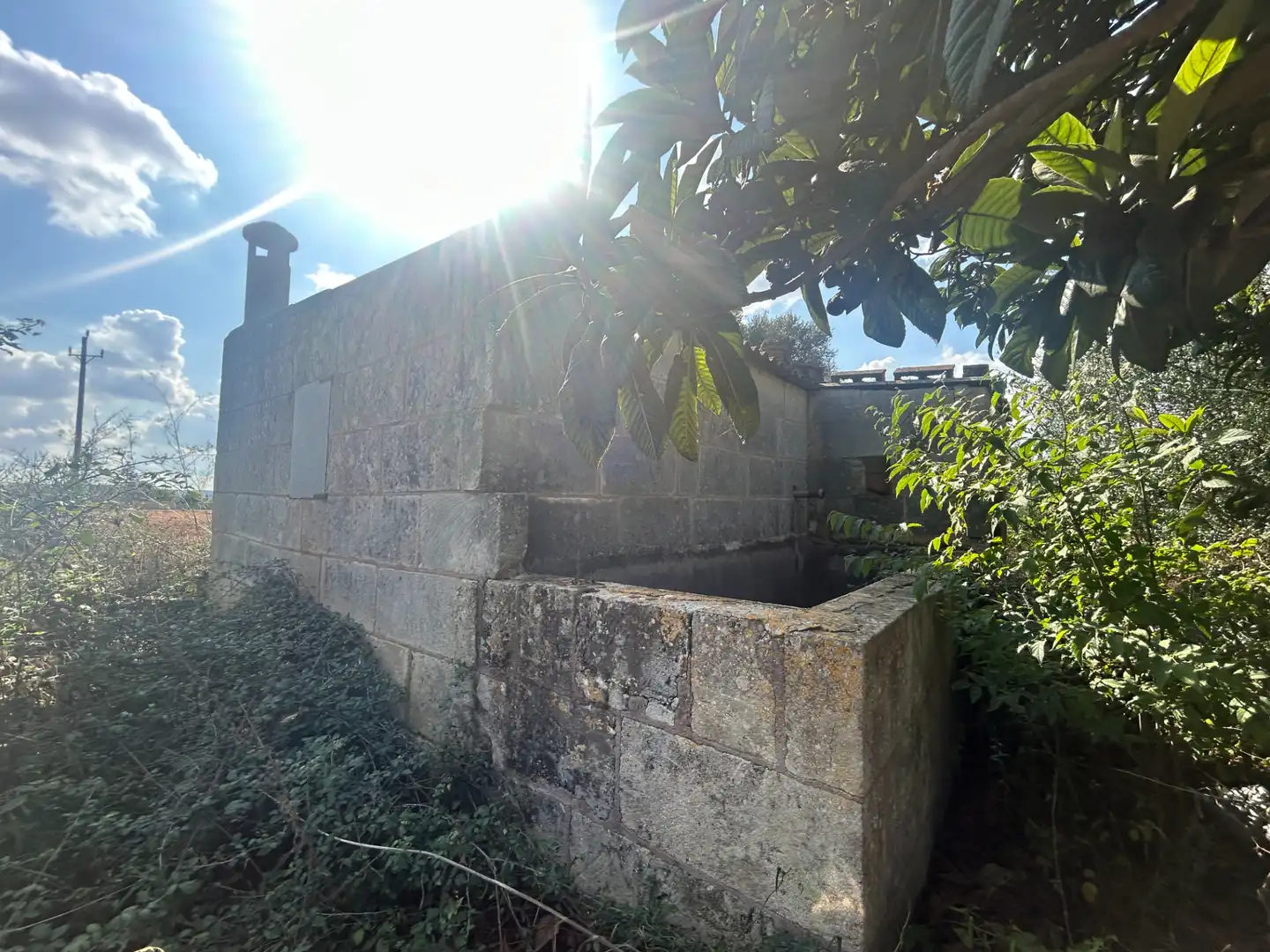 Terreno rústico en venta en Llubí, imagen 11