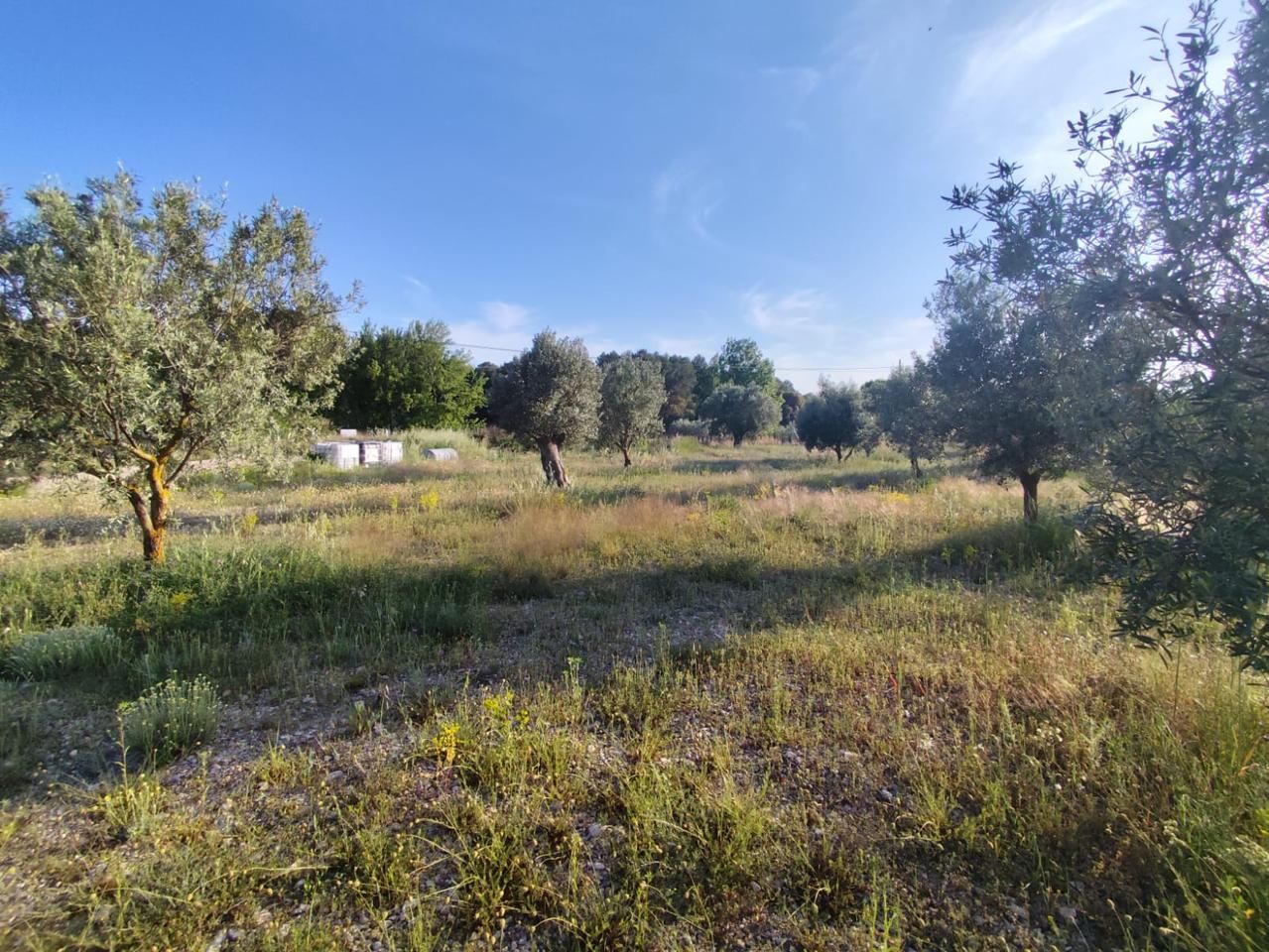 Residencial en venta en Ibi