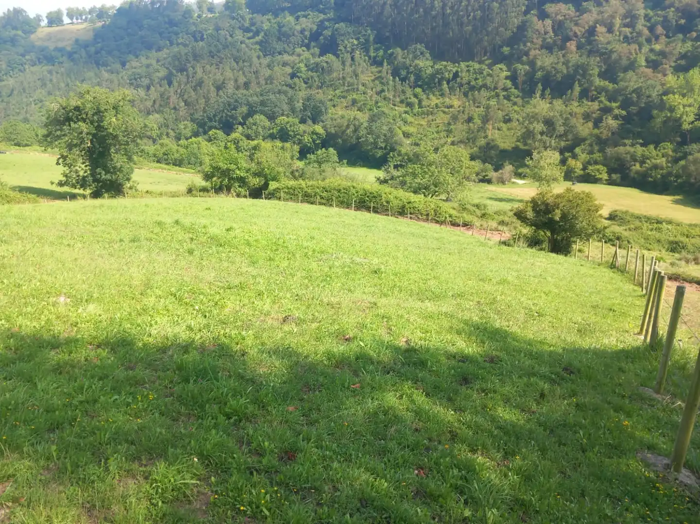 Terreni e lotti in vendita a Labarces - La Cardosa 21, imagen 16