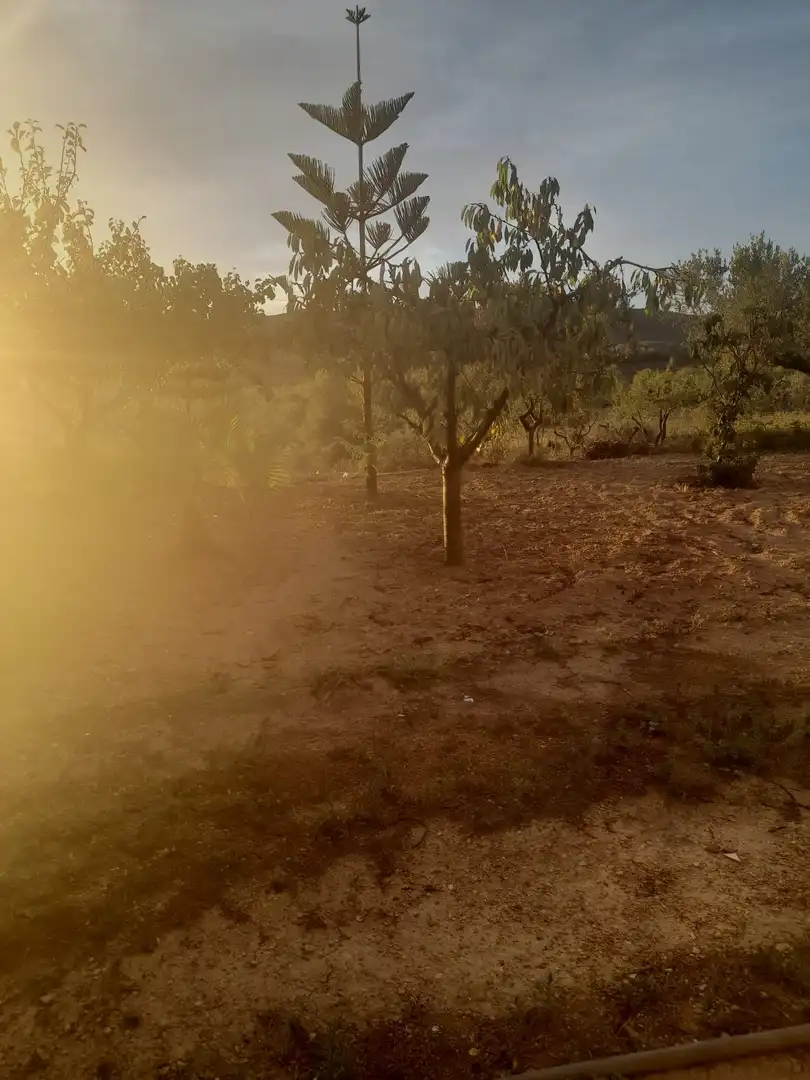 Rural land for sale in Salomó, imagen 12