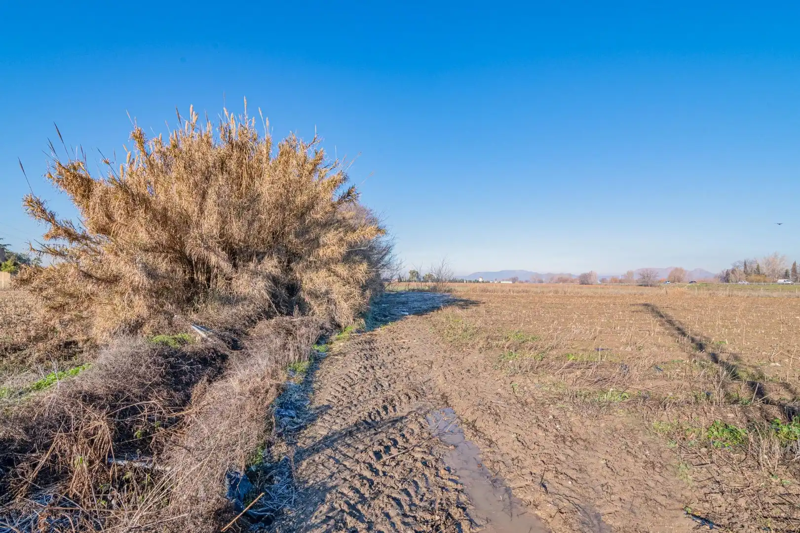 Lands and plots for sale in Carretera Polígono 9 Paraje 61 MARACHAT, 47, 18001, Granada, imagen 17